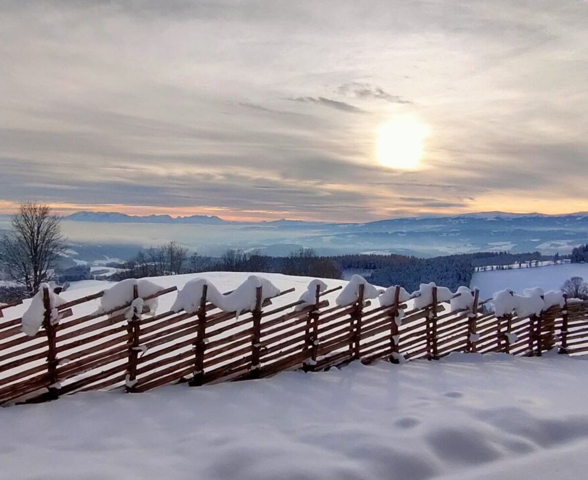 Winter view from the Alpine Hut, featuring snow-covered fields, a wooden fence, and distant mountains.