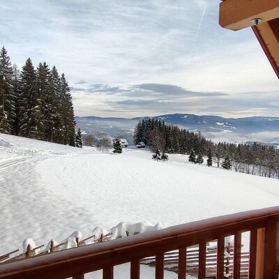 Winter view from the Alpine Hut, showcasing snow-covered slopes, pine trees, and distant mountain ranges.