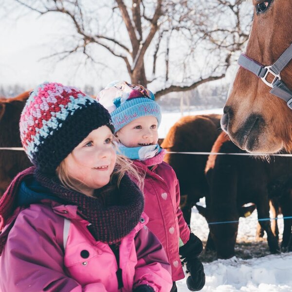 Children with a horse and cows at the Farm House in winter. Children with a horse and cows at the Farm House in winter.