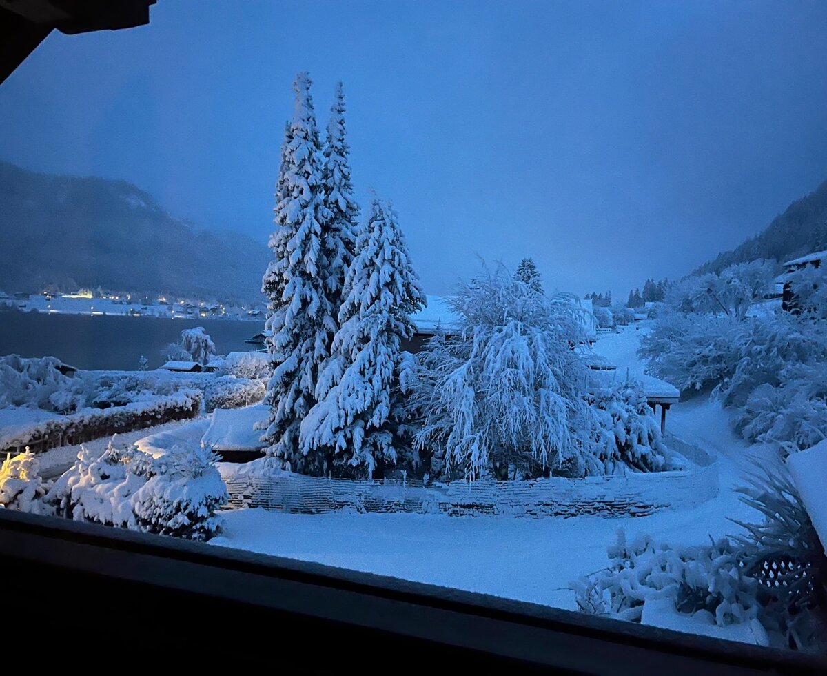 Winter view from the Farm House, featuring snow-covered trees, a lake, and lights from a distant settlement.