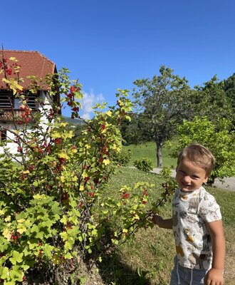 Red currant bushes with ripe fruit grow in the garden area of the Farm House, alongside green lawns and trees.