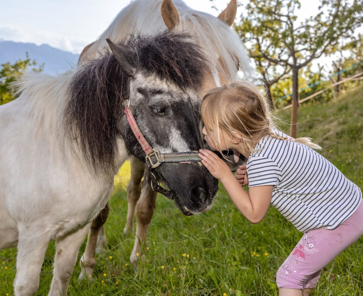 A young child interacts closely with a pony on the Farm House grounds, representing the animal experiences available for guests.
