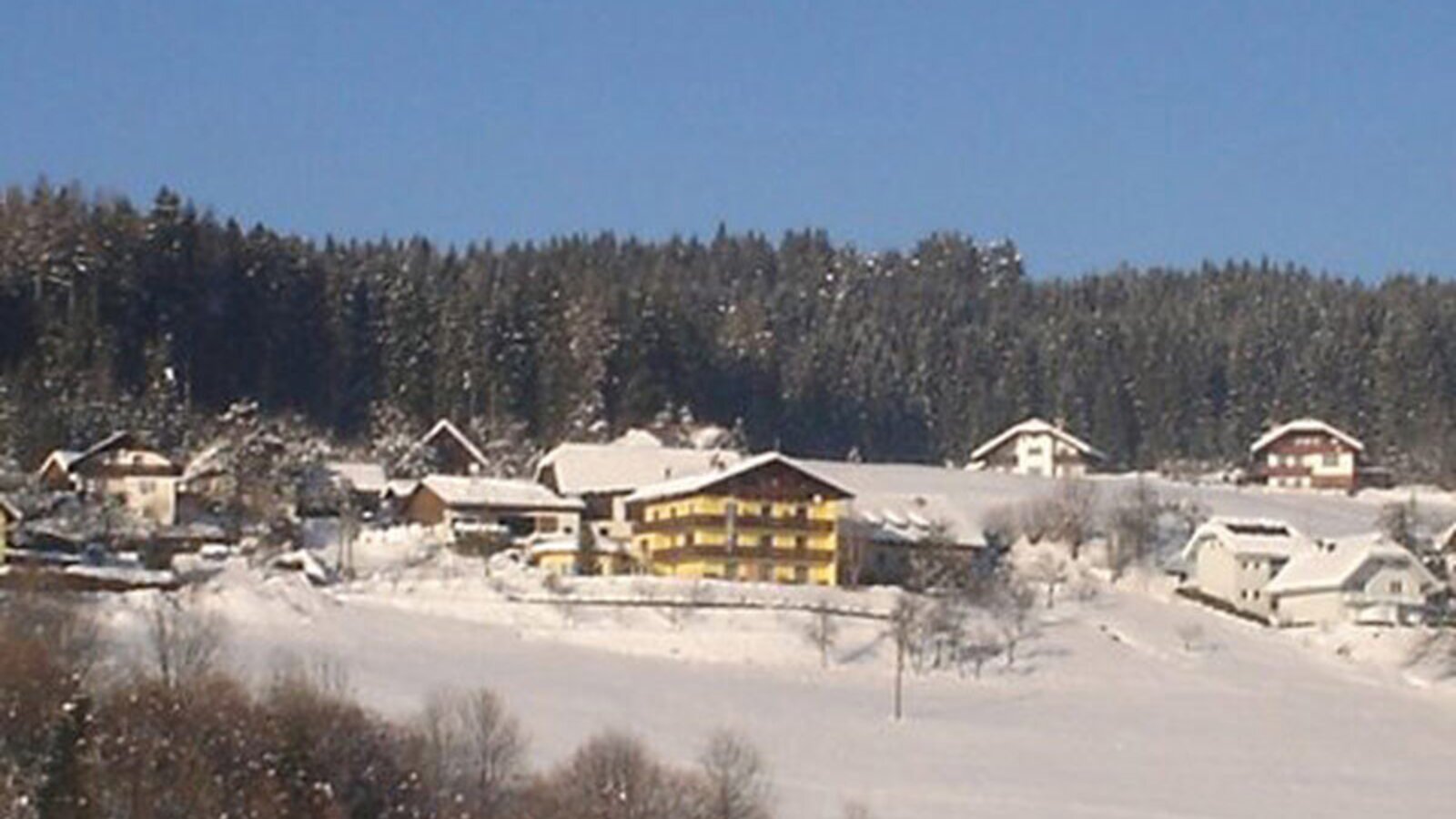 The Farm House and surrounding buildings set in a snow-covered winter landscape, backed by a forest.