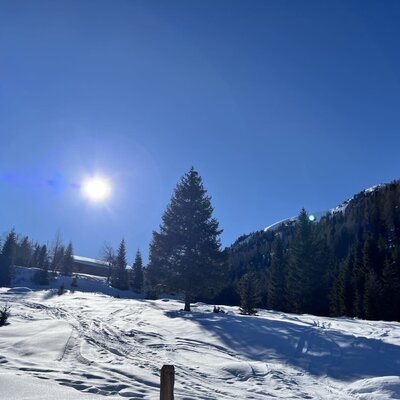 A pristine, snow-covered winter landscape surrounding the Alm under a bright, sunny sky.