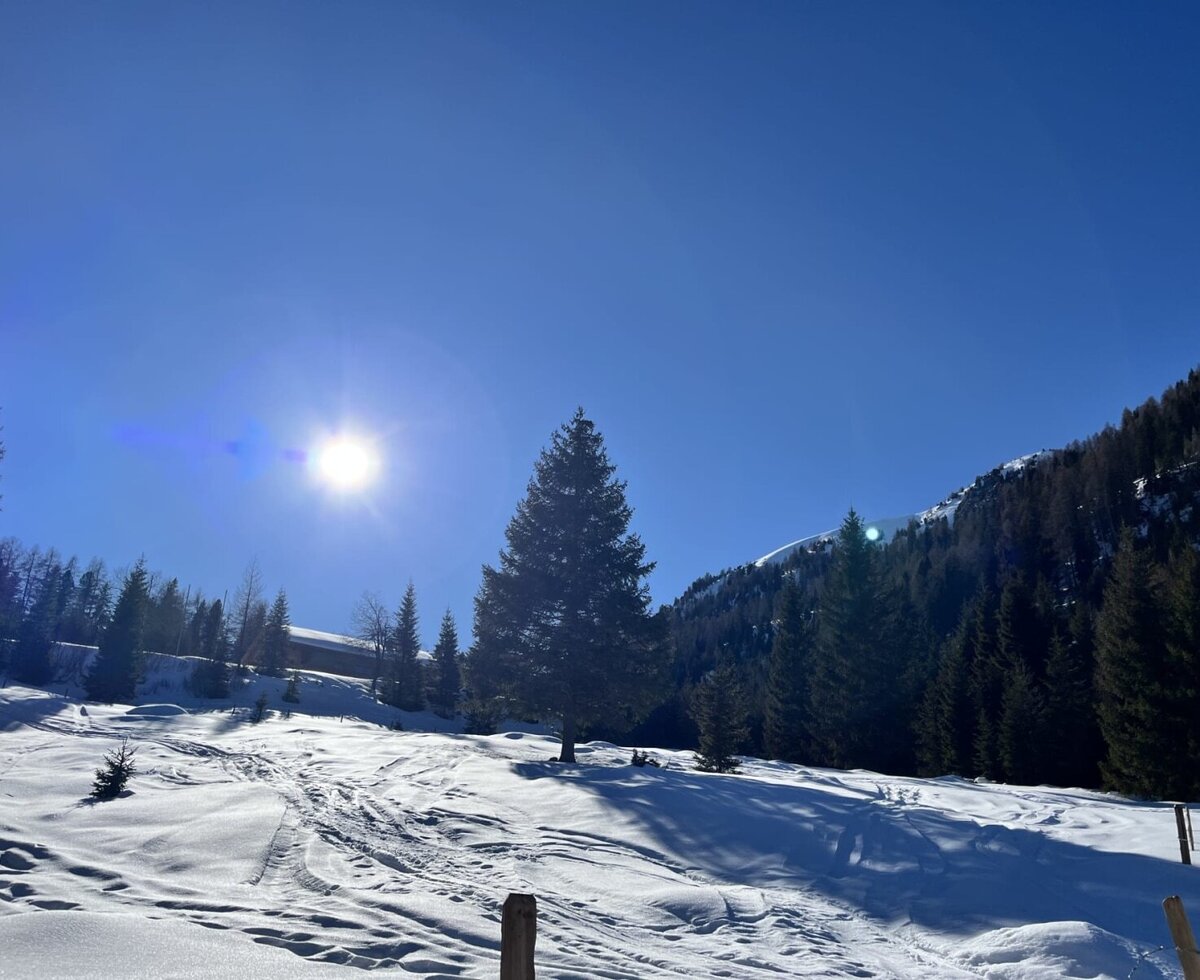 A pristine, snow-covered winter landscape surrounding the Alm under a bright, sunny sky.