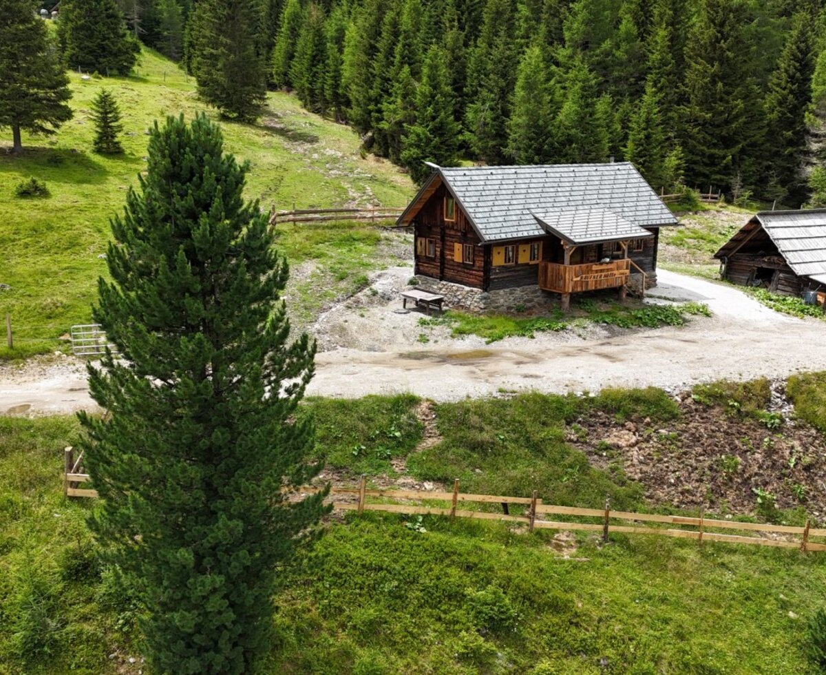 The rustic alm surrounded by lush green meadows and dense pine forests.