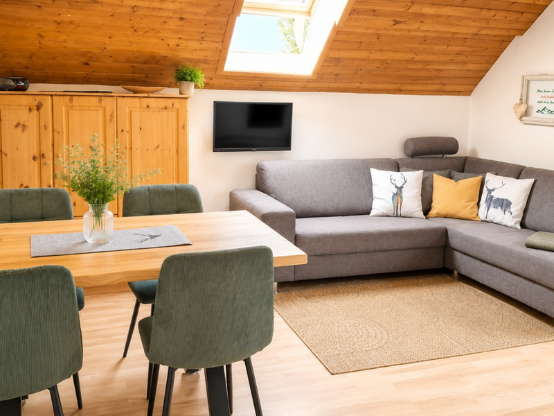 Living area of the apartment in the farmhouse, featuring a dining table, corner sofa, TV, and skylight.