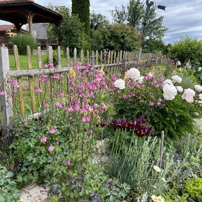 Garden of the farmhouse with various flowers, a wooden fence, and a gazebo in the background.