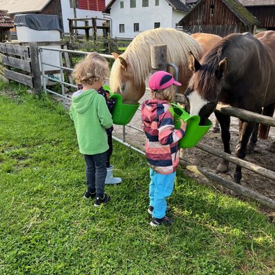 Two children feeding the horses at the Bauernhof with green buckets.