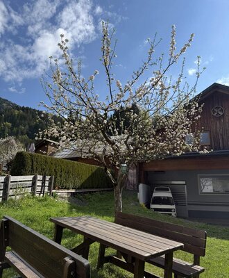 Picnic table and benches in the Ferienhaus garden under a blossoming tree.