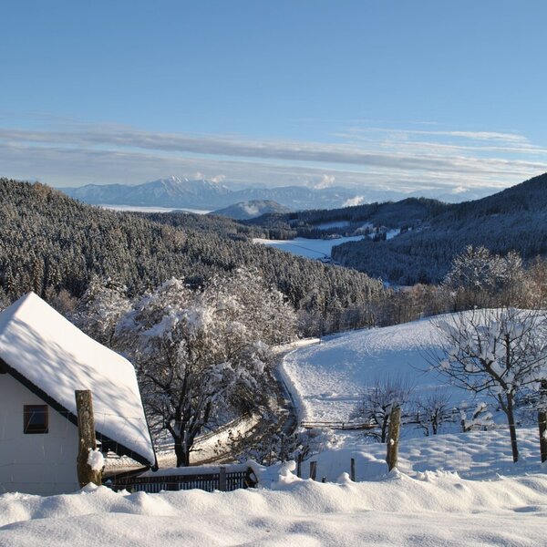 The snow-covered Farm House nestled within a winter landscape of trees, hills, and distant mountains.