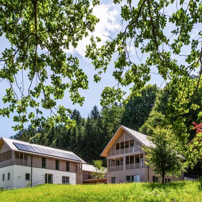 The modern Ferienwohnungen, featuring wooden facades and large balconies, are situated on a green meadow at the edge of the forest.