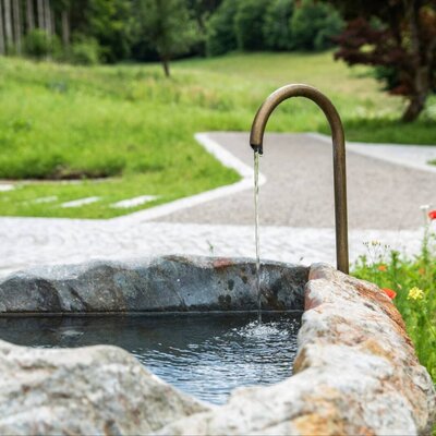 A charming stone fountain with flowing water in the apartment's inviting garden area.