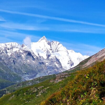 Großglockner in White