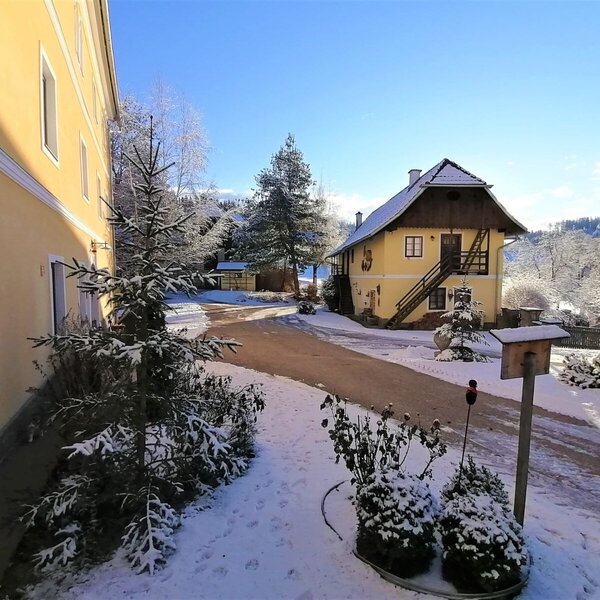 The Farm House exterior during winter, with snow-covered grounds and surrounding trees. The Farm House exterior during winter, with snow-covered grounds and surrounding trees.