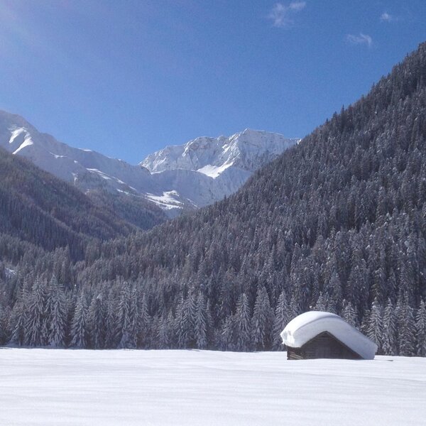 The snow-covered Alps, featuring evergreen forests and a small hut in a snowy field, showcasing the surroundings of the Farm House.