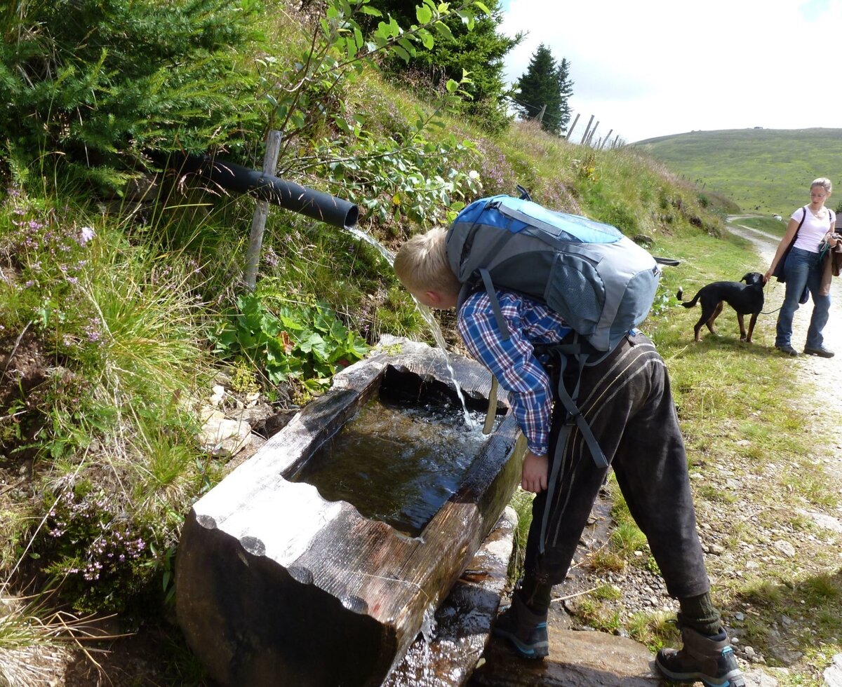 A wooden water trough with a natural water source, available for guests exploring the hiking paths near the Farm House.