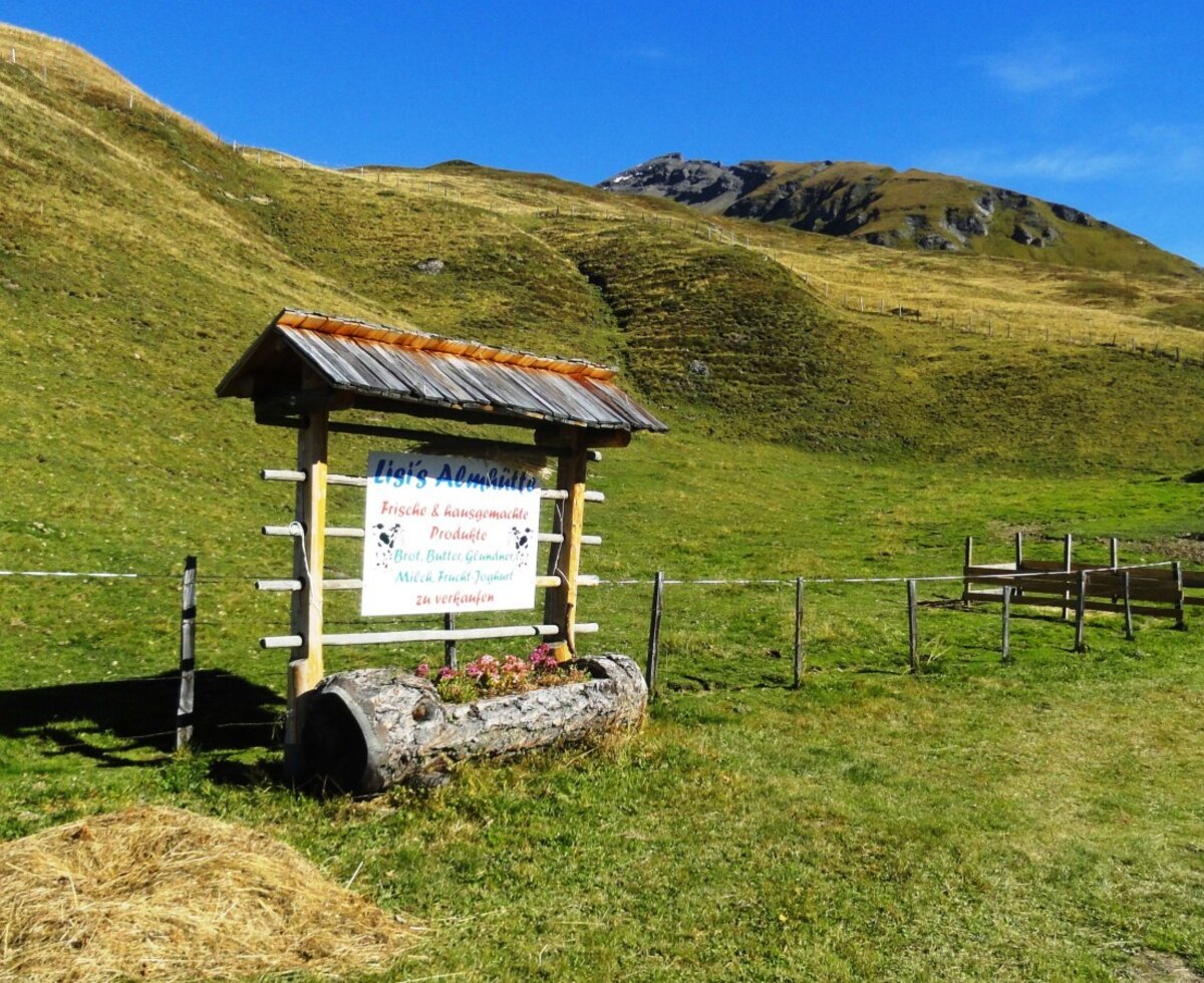 The wooden sign for the Alpine Hut, featuring a log planter with flowers, is set in a green alpine meadow surrounded by rolling hills.