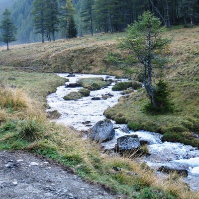 A natural stream with rocky banks flows through the grassy alpine landscape near the Alpine Hut.
