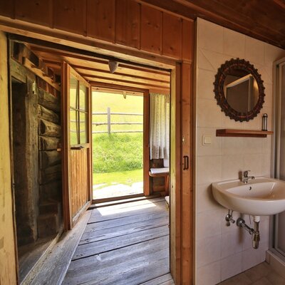 The bathroom in the Alpine Hut is equipped with a sink and shower, offering direct outdoor access to the surrounding natural environment.