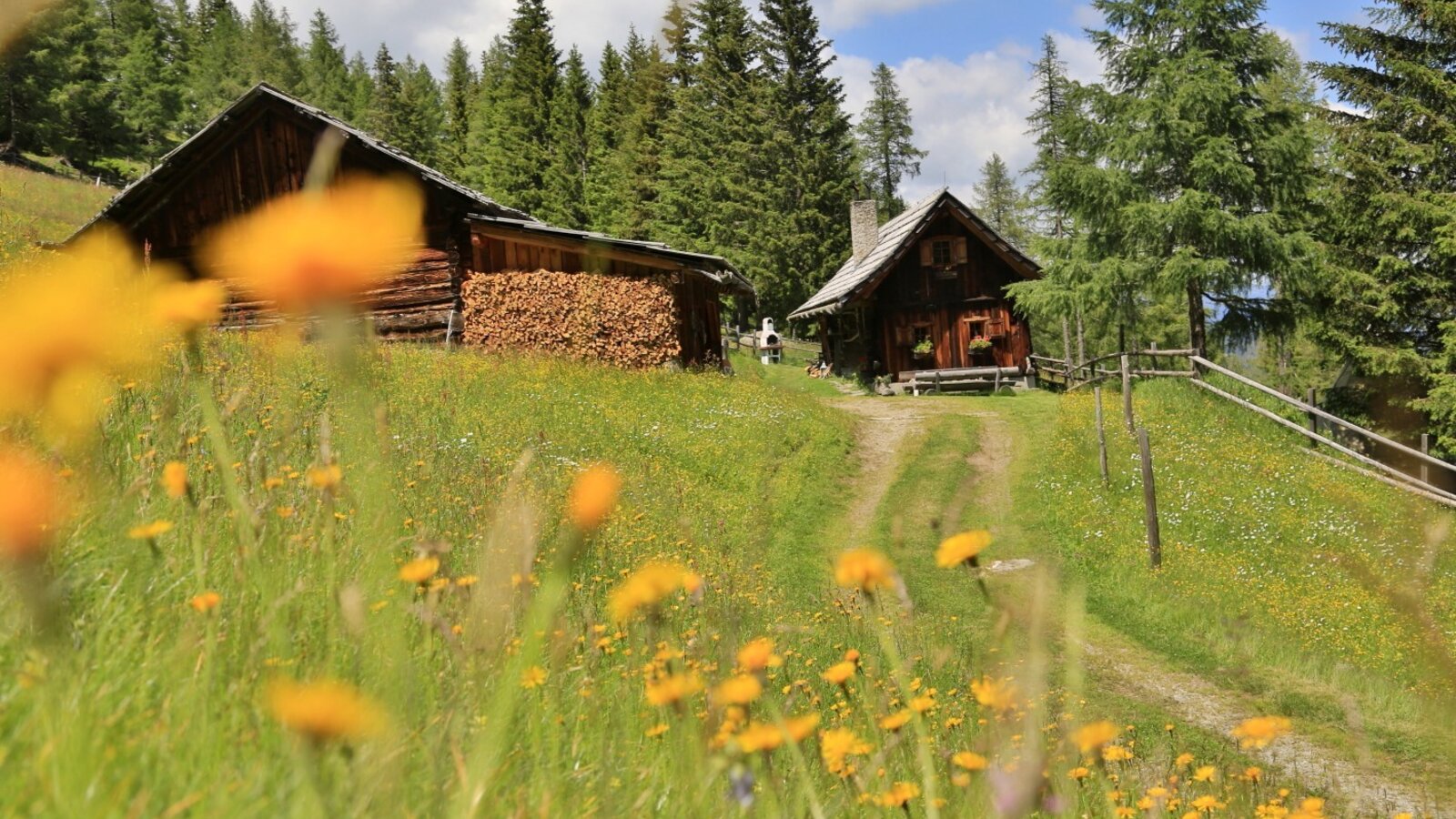 The Cabin and an adjacent wooden building with stacked firewood are situated on a grassy slope surrounded by pine trees.
