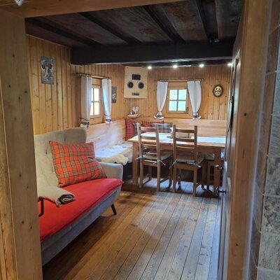 The cozy kitchen-living area of the cabin, featuring a comfortable seating area, a sofa, and traditional wood paneling.