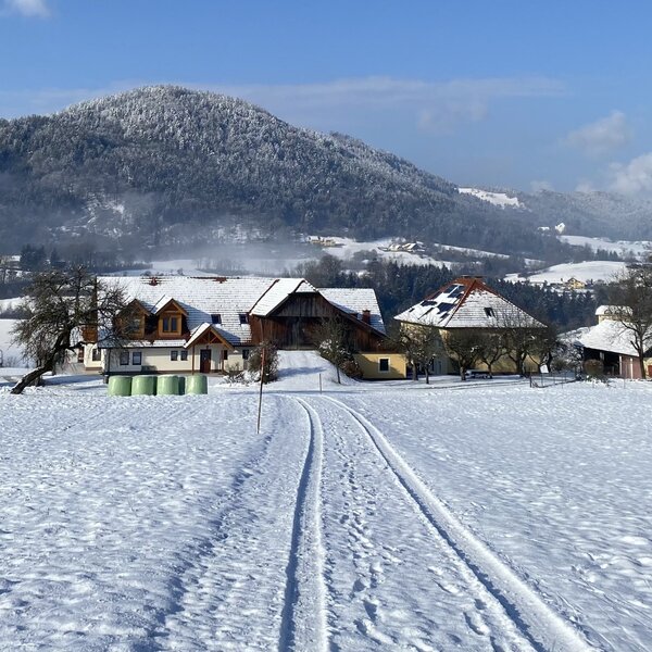 winter wonderland :)