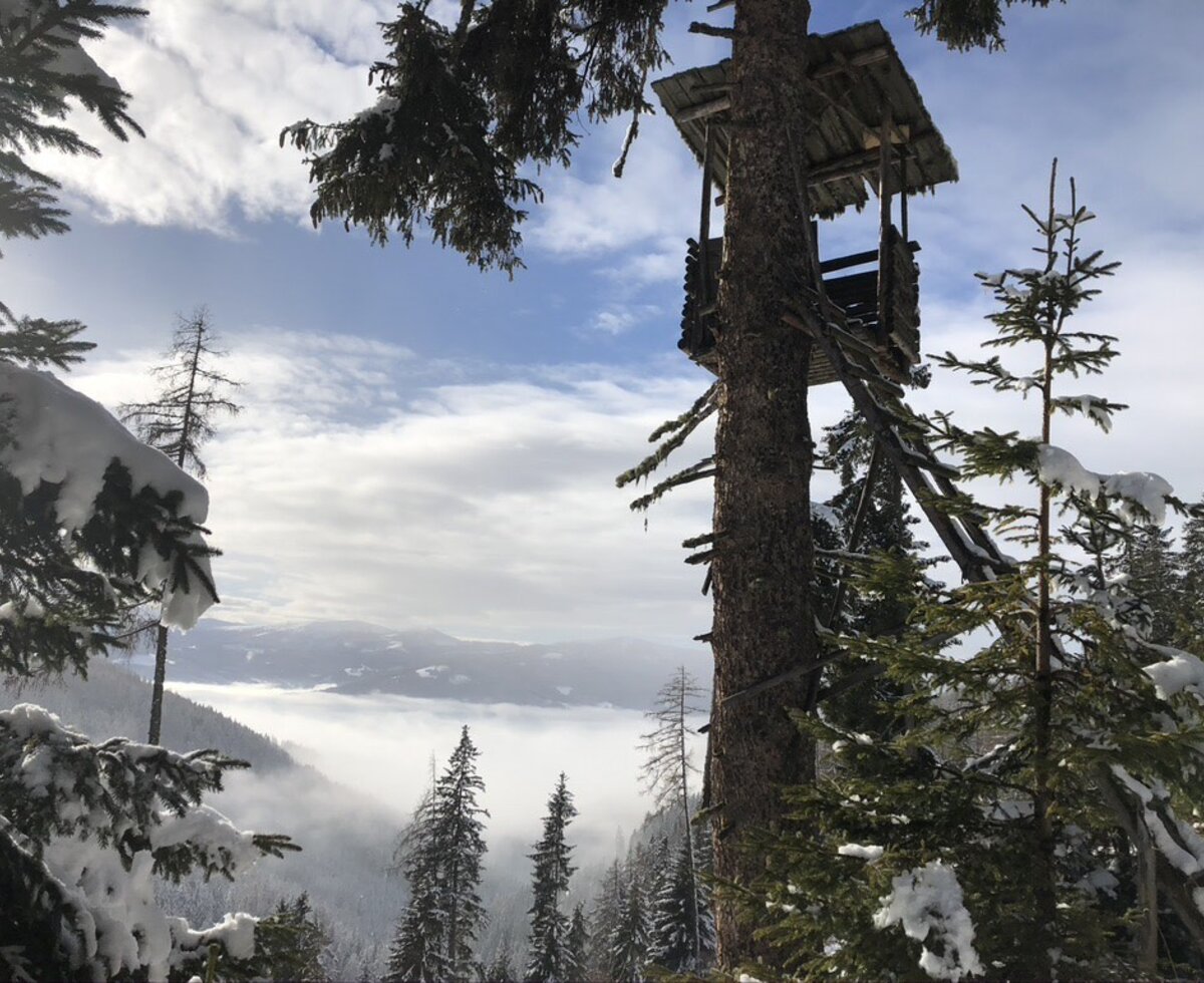 Forest farmer Winter High seat
