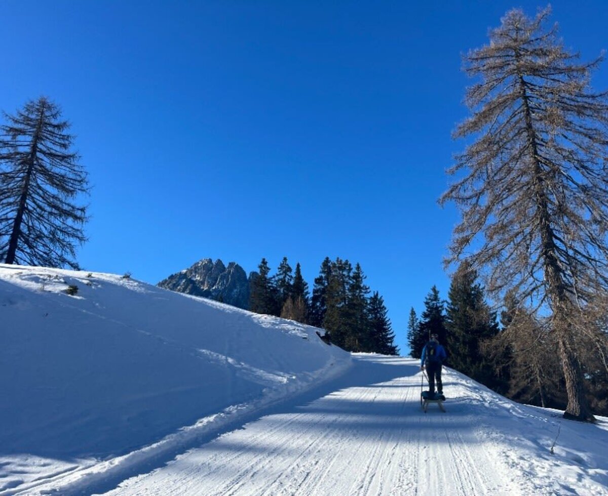 Snowy path with a person pulling a sled, surrounded by trees and mountains, in the vicinity of the Alm.