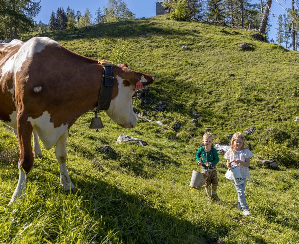 Two children and a cow with a bell on a grassy hillside, showcasing the natural alpine environment surrounding the Alpine Hut.