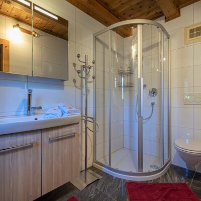 The Alpine Hut bathroom features a glass shower, toilet, and sink with a wooden vanity and mirror cabinet.