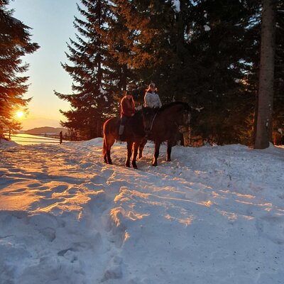 Horseback riding on a snow-covered path at the forest edge, illuminated by the setting sun near the Alpine Hut.