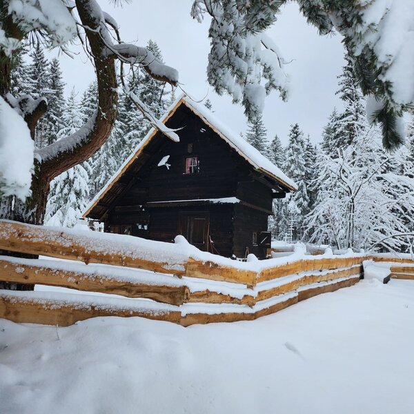 The Alpine Hut in a snow-covered forest, bordered by a rustic log fence.