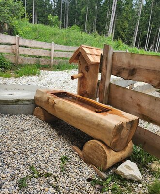 The Alpine Hut's outdoor area features a wooden water trough and spigot, crafted from logs.