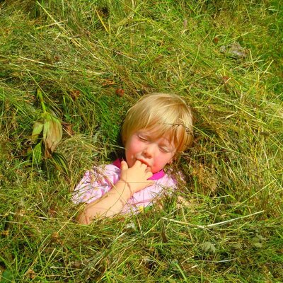 A child resting in the green meadow of the Alm.