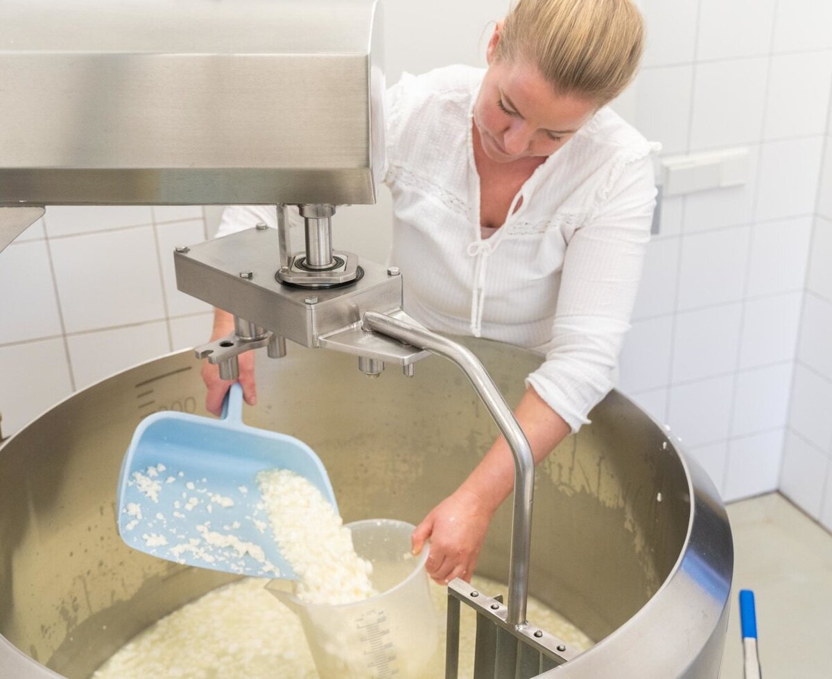 Cheesemaking in progress at the Alpine Hut, with a person scooping fresh curds from a large stainless steel vat.