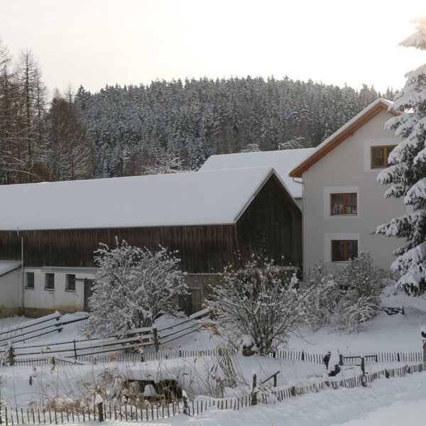 Courtyard in winter Courtyard in winter