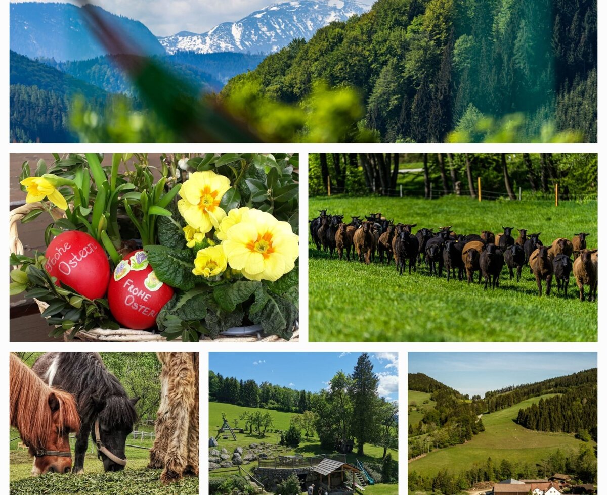 Courtyard and surroundings