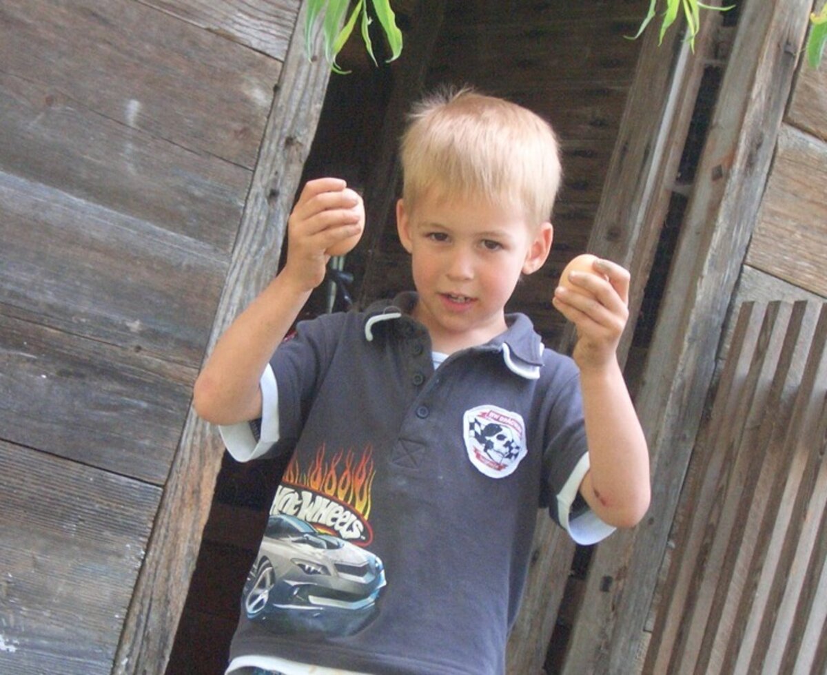 Zwergerlhof - Simon is happy about the fresh eggs from the chicken coop