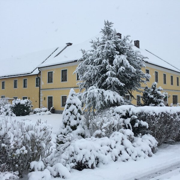 House in winter House in winter