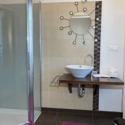 The bathroom in the Farm House features a shower cabin and a vanity with a vessel sink and mirror.
