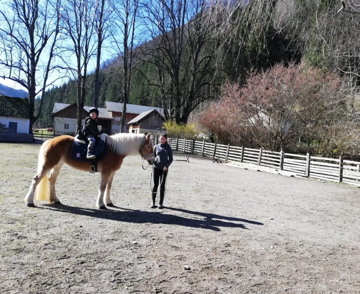 A child riding a Haflinger horse at the Farm House's private riding area, led by an adult.