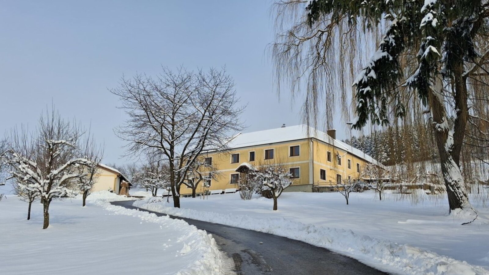 The farmhouse in winter, surrounded by snow and trees, with a cleared access path.