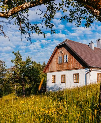 The farmhouse exterior, with white walls, a wooden upper facade, and a brown roof, set on a grassy hill filled with yellow wildflowers.