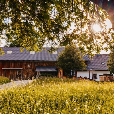 The farmhouse exterior, featuring a wooden barn and a residential building with an outdoor hot tub, surrounded by a sunlit meadow.