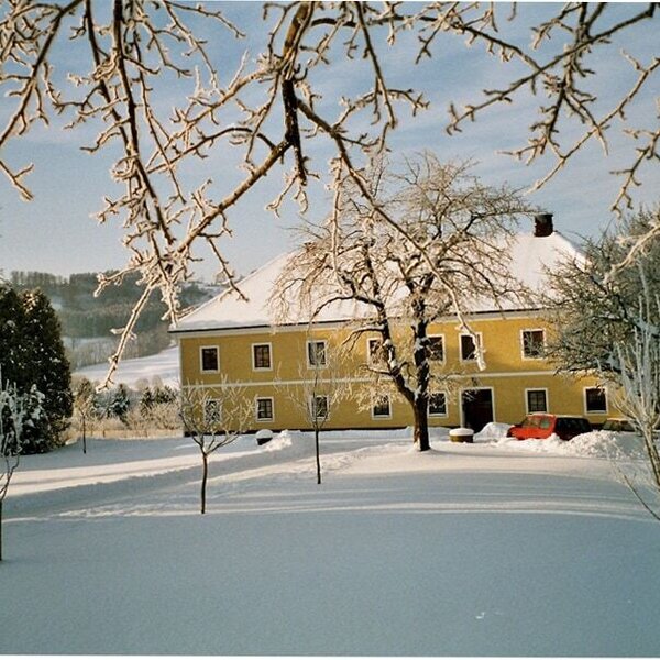 Winter scenery Winter scenery