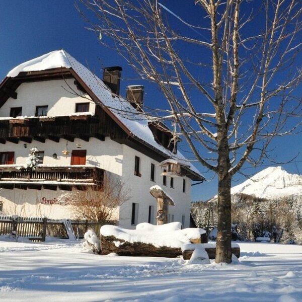 The house in winter The house in winter