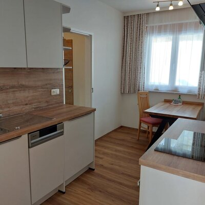 Kitchen of the apartment in the farmhouse with a sink, dishwasher, hob, and a dining area by the window.
