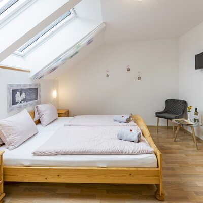 Bedroom in the Haus featuring two single beds, skylight windows, and a wall-mounted SAT TV.