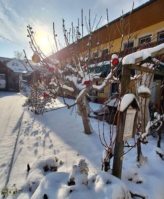 The snow-covered exterior of the farmhouse, featuring tree decorated with red and yellow ornaments.